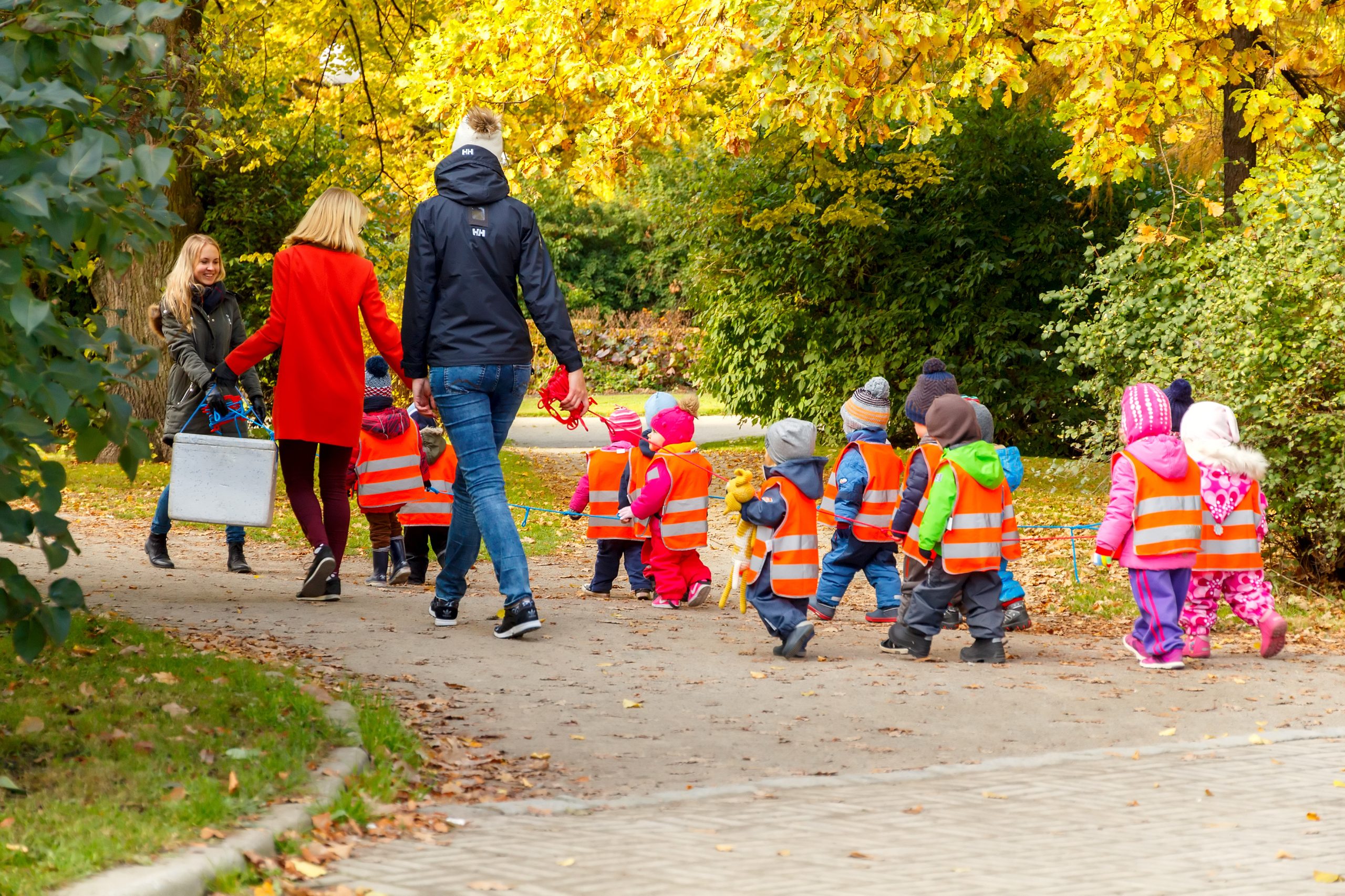 Förskolebarn i orangea reflexvästar går på promenad längs en gångväg i en park, hållandes i ett gemensamt rep. Tre vuxna går bredvid, varav en bär en grå väska. Träden runt omkring har gula och gröna höstfärger.