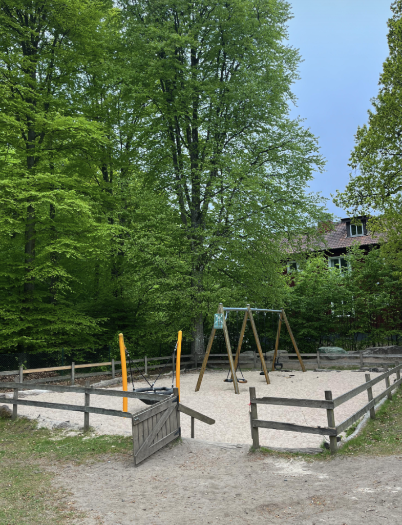 Skolgård